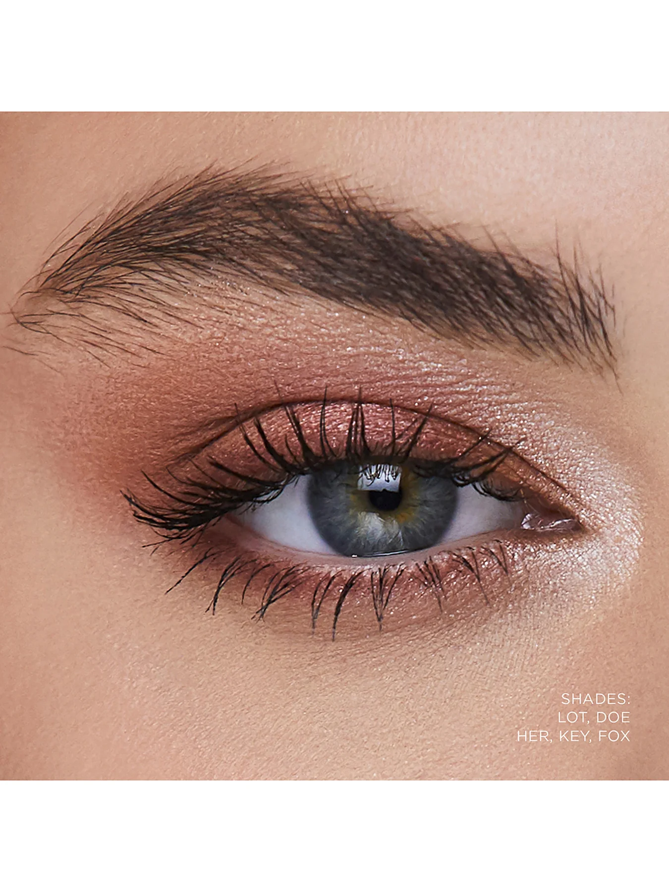 Curator Eyeshadow - Image 68